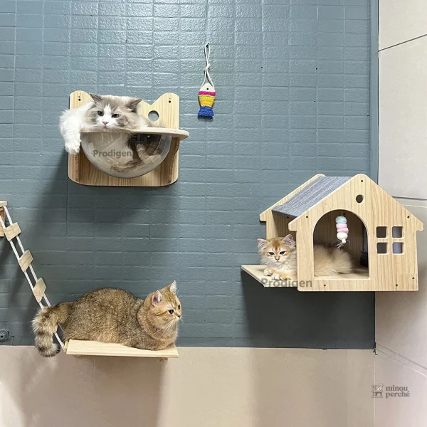 Arbre à chat en bois pour un design moderne