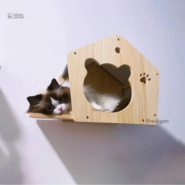 Maison perchée : arbre à chat mural élégant