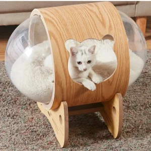 Dôme perché pour l'escalade et le repos des chats