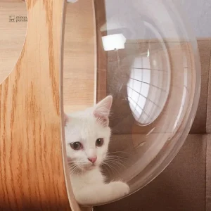 Meuble à chat élégant avec dôme de repos
