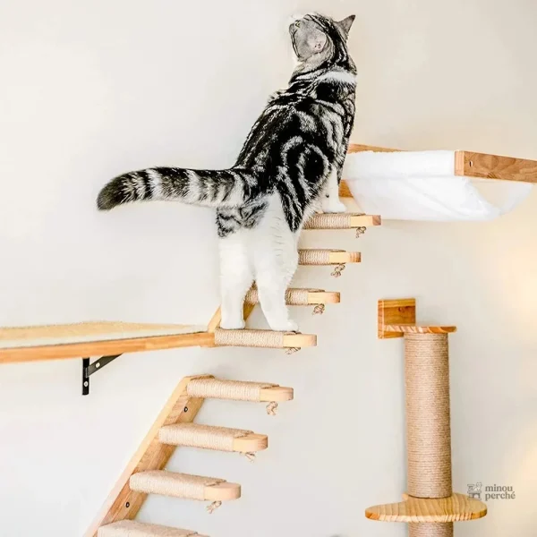 Meuble mural pour chats - Aventure en bois