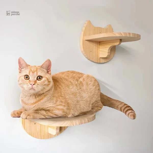 Structure en bois pour l'escalade des félins