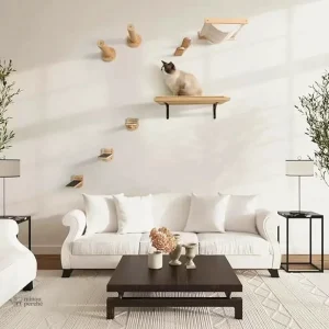 Solution économique d'arbre à chat en bois