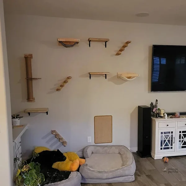 Arbre à chat mural, espace de jeu vertical pour félins
