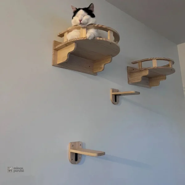 Kits pour arbre à chat mural en bois
