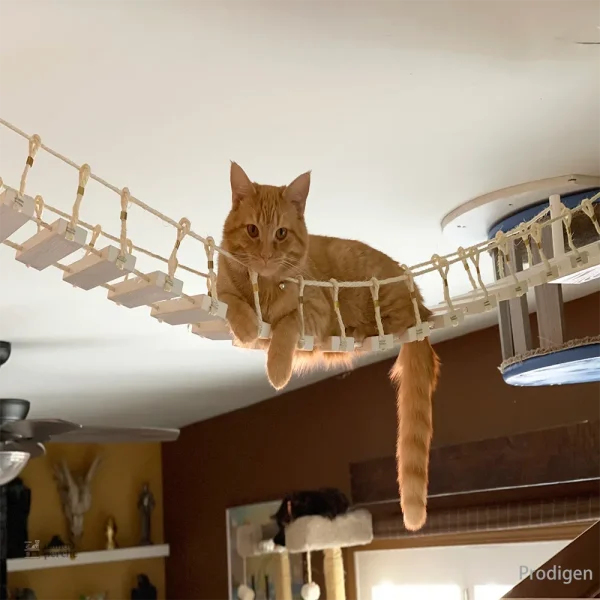 Pont suspendu de 100 cm pour chat mural