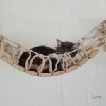Structure murale pour chats avec pont suspendu