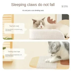 Solution pratique d'arbre à chat mural en bois