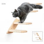 Aménagement ludique pour chats curieux