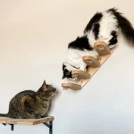 Design mural innovant pour espaces réduits