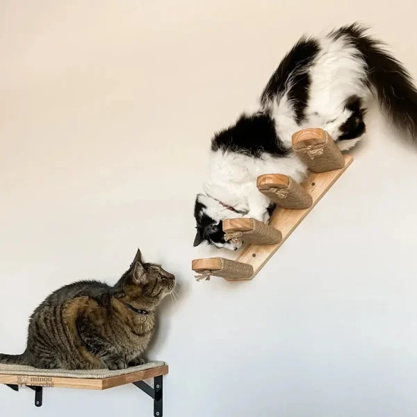 Design mural innovant pour espaces réduits