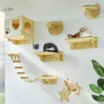Solution d'escalade pour chats actifs
