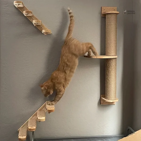Escalier pour chat en bois design moderne