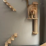 Structure murale pour félins en bois naturel