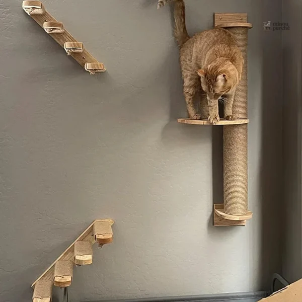 Structure murale pour félins en bois naturel