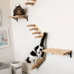 Escalier mural en bois pour chats actifs