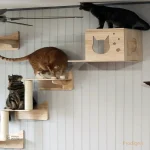 Arbre à chat mural pour un gain de place