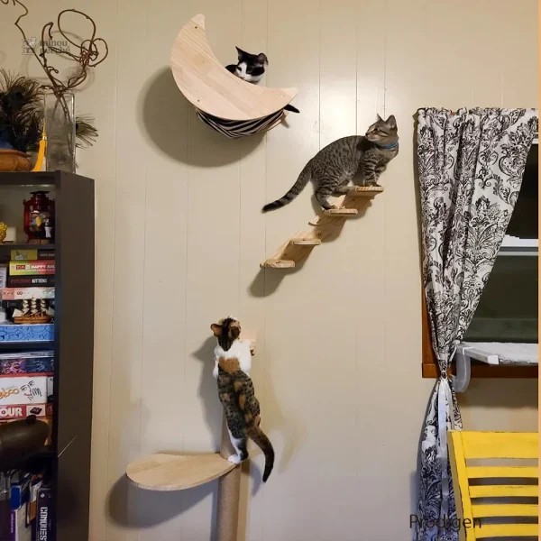 Mobilier pour chats en bois naturel
