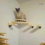 Arbre à chat mural en bois, parfait pour les félins curieux