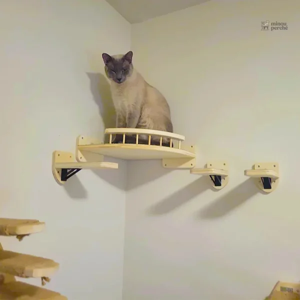Arbre à chat mural en bois, parfait pour les félins curieux