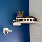 Solution d'escalade en bois pour chats, gain de place