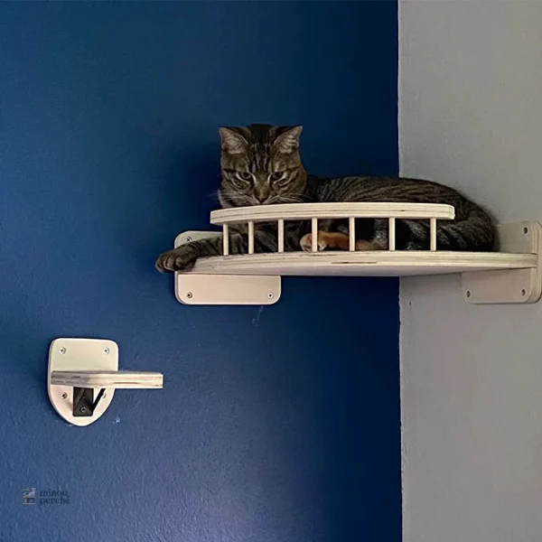 Espace d'observation mural pour chats, élégant et pratique