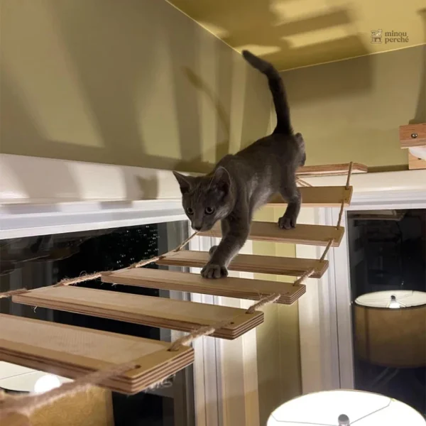 Arbre à chat mural Cat Aventure, espace de jeu