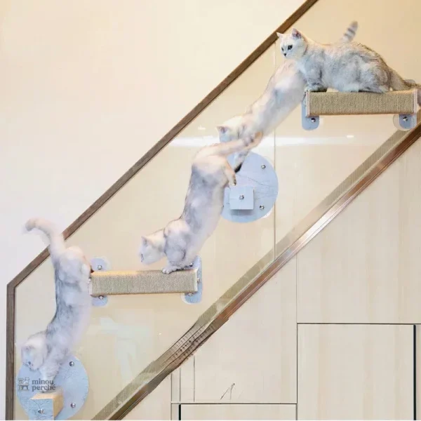 Arbre à chat mural design pour un espace optimisé