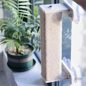 Solution murale pour chats, confort et amusement