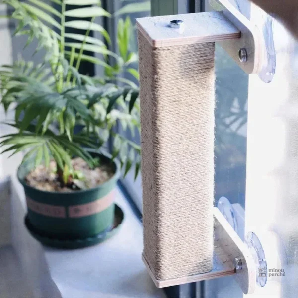 Solution murale pour chats, confort et amusement