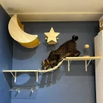 Système d'arbre à chat mural moderne AcroChat