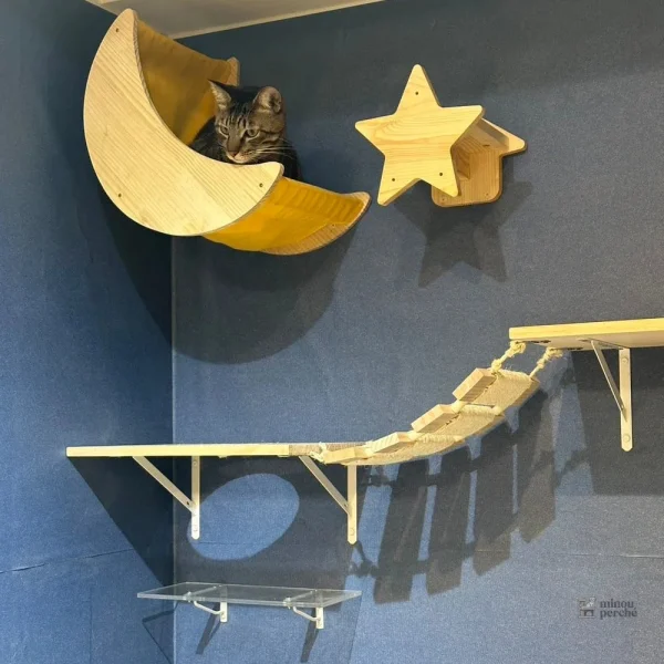 Accessoire mural pour chats, pont suspendu