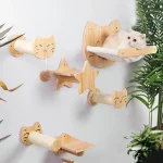 Structure murale pour chats, pont pour grimper