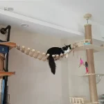 Pont pour chat à fixer au mur