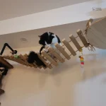 Éléments d'escalade mural pour chat