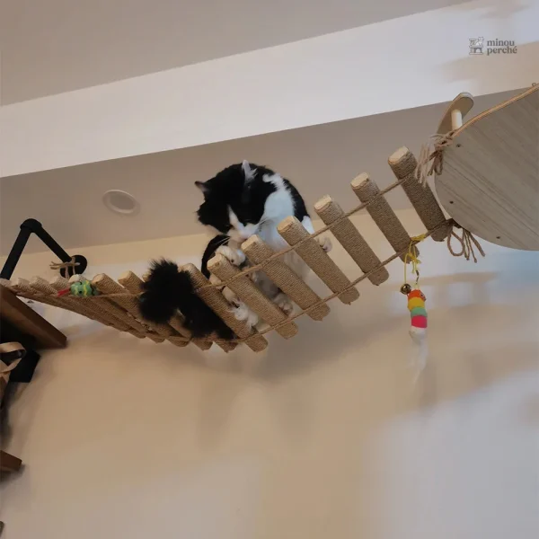 Éléments d'escalade mural pour chat