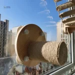 Solution de détente pour félins