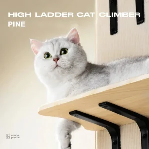 Accessoire pratique pour chats, installation sans outils