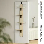 Confort et divertissement pour chats, installation simple