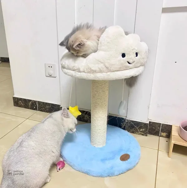 Arbre à chat nuage idéal pour les petits espaces