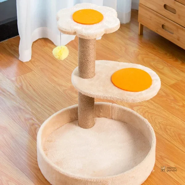 Oeuf pour chat avec espace de jeu et repos adapté