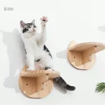 Accessoire de jeu pour chats actifs