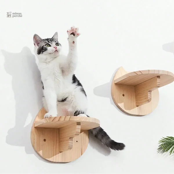 Accessoire de jeu pour chats actifs