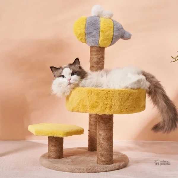 Arbre à chat rose avec plusieurs niveaux d'activité