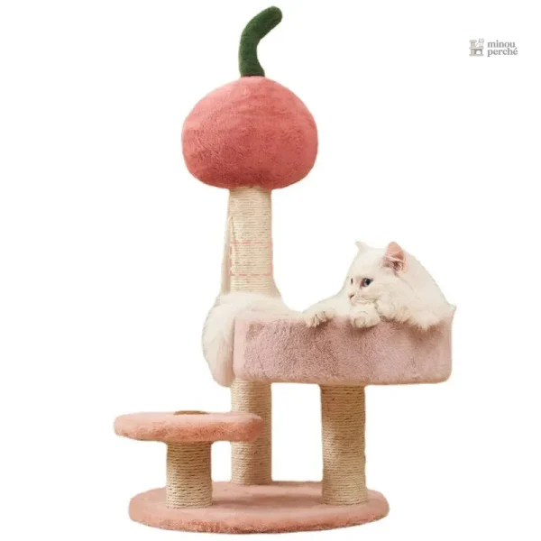 DéliCat arbre à chat pour l'escalade et le repos