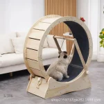 Roue à chat interactive pour divertir votre félin
