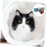 Structure colorée pour stimuler les chats, modèle ColorCat