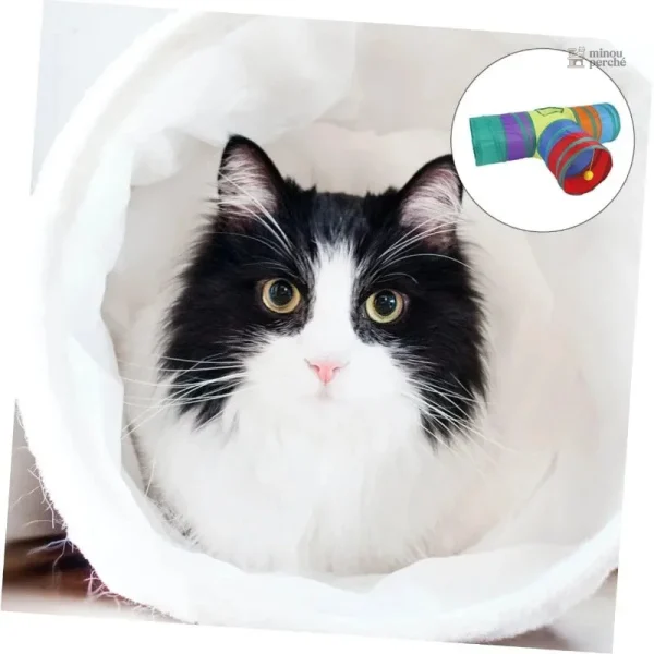 Structure colorée pour stimuler les chats, modèle ColorCat