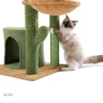 Arbre à chat aux teintes vertes pour un intérieur apaisant