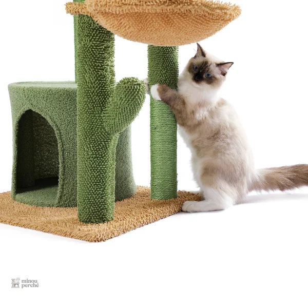 Arbre à chat aux teintes vertes pour un intérieur apaisant